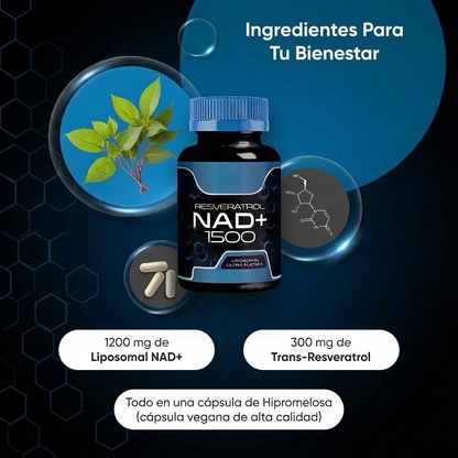 Suplemento para Resistencia, AntiEnvejecimiento y Salud Celular - VITALBLOOM NAD+
